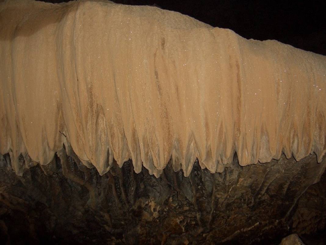 Konya'da heyecan arayanlar soluğu burada alıyor: Hassas hayvan türlerininde yuvası 17